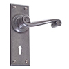 Regency Handle, Ripley Keyhole Plate, Polished