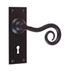 Curled Handle, Bristol Keyhole Plate, Matt Black