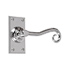 Scrolled Handle, Ripley Short Plate, Nickel