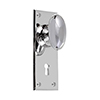 Downley Knob, Bristol Keyhole Plate, Nickel