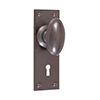 Downley Knob, Bristol Keyhole Plate, Polished