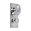 Downley Knob, Bristol Privacy Plate, Nickel