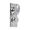 Downley Knob, Ripley Privacy Backplate in Nickel