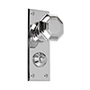 Shaftesbury Knob, Bristol Privacy Plate, Nickel