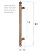 Medium Acorn Pull Handle in Antiqued Brass