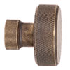 Richford Wall Hook in Antiqued Brass