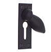 Heritage Escutcheon Plate in Matt Black