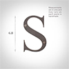 Letter S in Polished