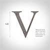 Letter V in Polished