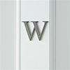 Letter W in Polished