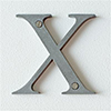 Letter X in Polished