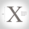 Letter X in Polished