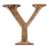 Letter Y in Antiqued Brass