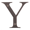 Letter Y in Polished