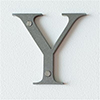 Letter Y in Polished