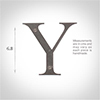 Letter Y in Polished