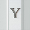 Letter Y in Polished