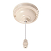 Ceiling Switch and Cover in Plain Ivory