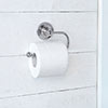 Bletchley Loo Roll Holder in Nickel