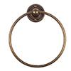 Bletchley Towel Ring in Lacquered Antiqued Brass