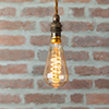 BC LED Soft Coil Vintage Squirrel Cage bulb