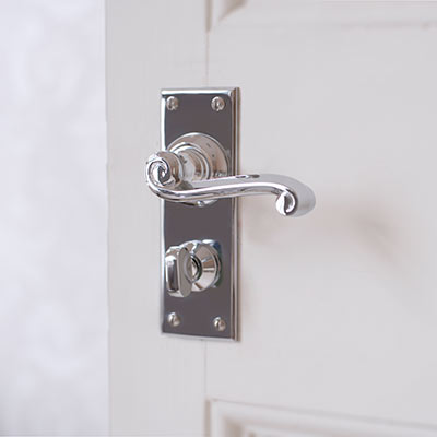 Regency Handle, Bristol Privacy Plate