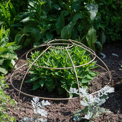 Large Plant Cage