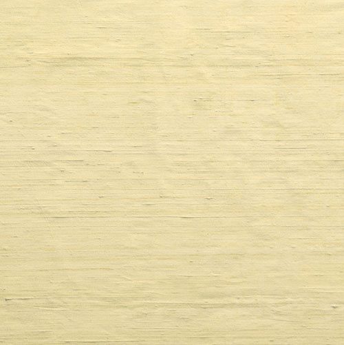 Chatsworth Raw Silk in Hay