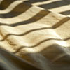 Chatsworth Raw Silk in Hay
