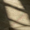 Chatsworth Raw Silk in Heritage Oyster