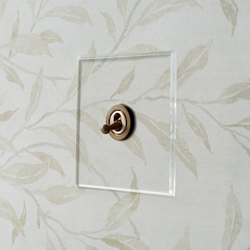 1 Gang Brass Dolly Clear Plate