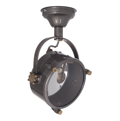 Pinewood Spotlight in Polished