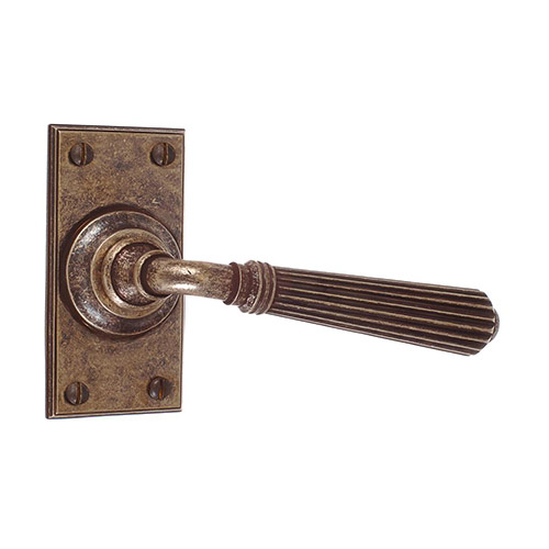 Bromley Handle, Ripley Short Plate, Antiqued Brass