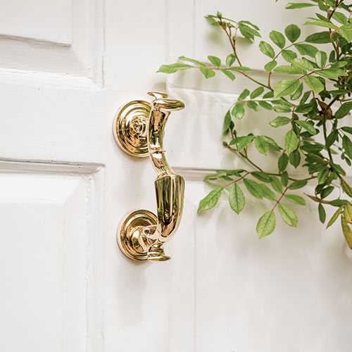 Doctor's Door Knocker