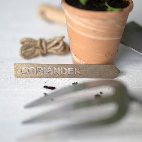 Coriander Herb Stake in Antiqued Brass