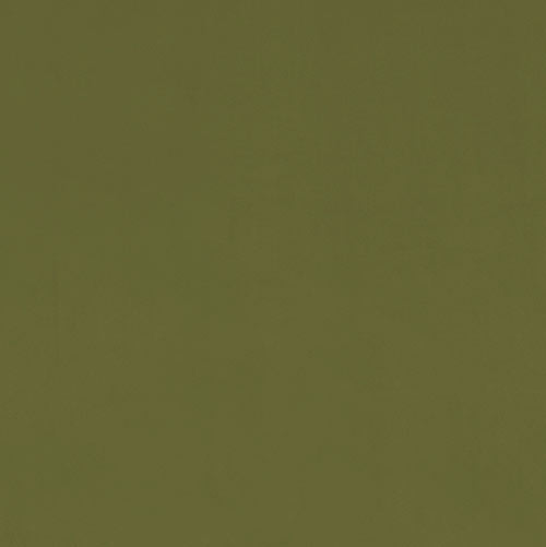 Hunstanton Velvet Fabric in Forest Green