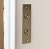 2 Gang Brass Dolly Architrave Switch Antiqued