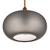 Hampstead Smoked Pendant Light in Antiqued Brass