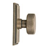 Small Hartford Cabinet Knob in Antiqued Brass