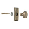 Small Hartford Cabinet Knob in Antiqued Brass