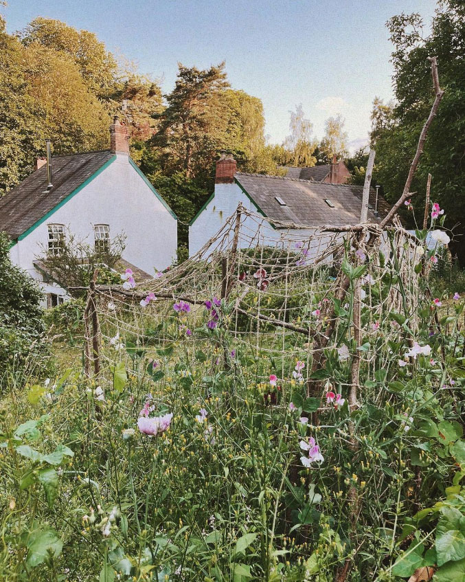 Garden at The Little Mill Garden at The Little Mill